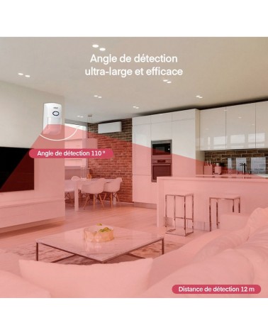 Détecteur de mouvements mural WIFI